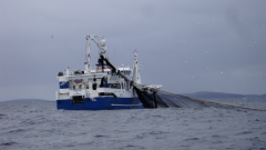 Fishing vessel Lunar Bow hauling the net. Photo by John Dunn, Marine Scotland