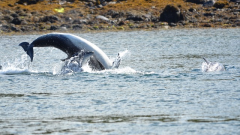 © John Baxter © John Baxter