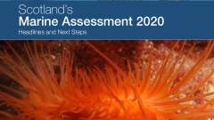 SMA2020 Headlines and next steps tile