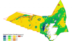 blue_carbon_sediments_thumbnail