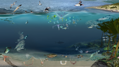 Nearshore temperate marine food web illustrating the relationships between different species groups including plankton, fish, birds and cetaceans